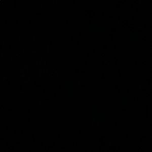 Meet your Posher, Bella